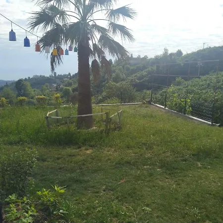 Camlica *